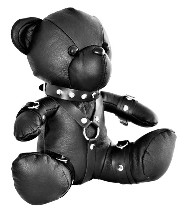 Ours Teddy BDSM