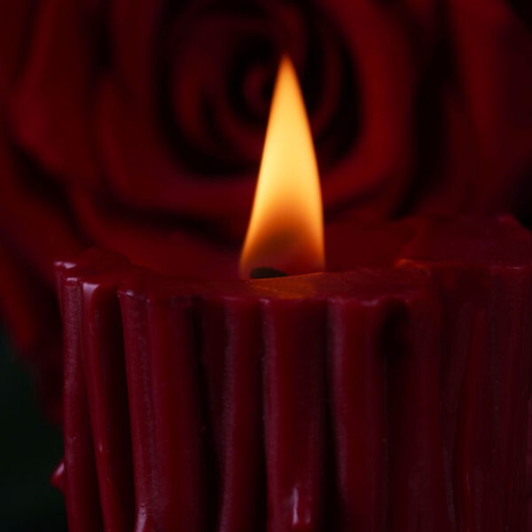 "Burning Thorn" Low Temperature Wax Candle