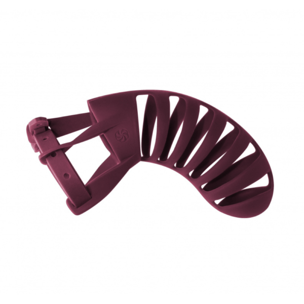 Cage de Chasteté en Silicone Lola Games
