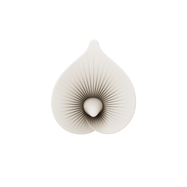 Calla